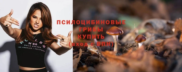 сатива Навашино