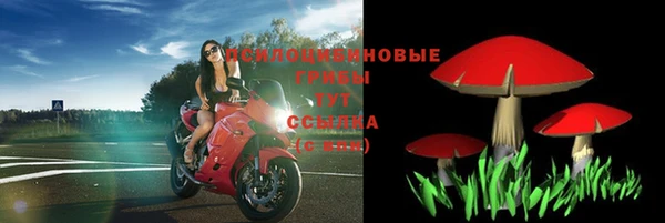 сатива Навашино