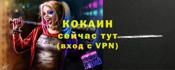 сатива Навашино