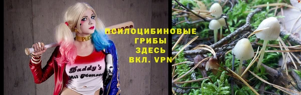 сатива Навашино